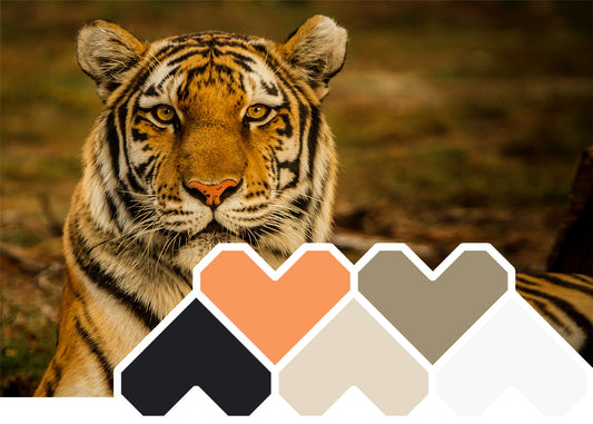 Colour Inspiration ~ February 'Animalistic'