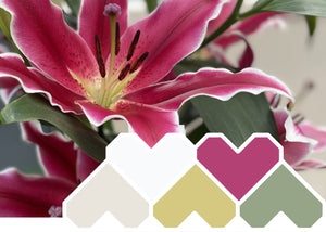 Colour Inspiration February - The Summer Edition