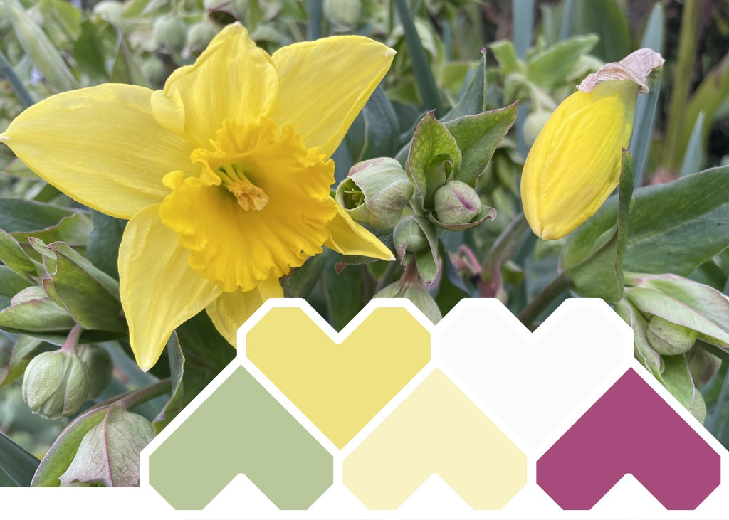 Colour Inspiration for October & November - Daffodil
