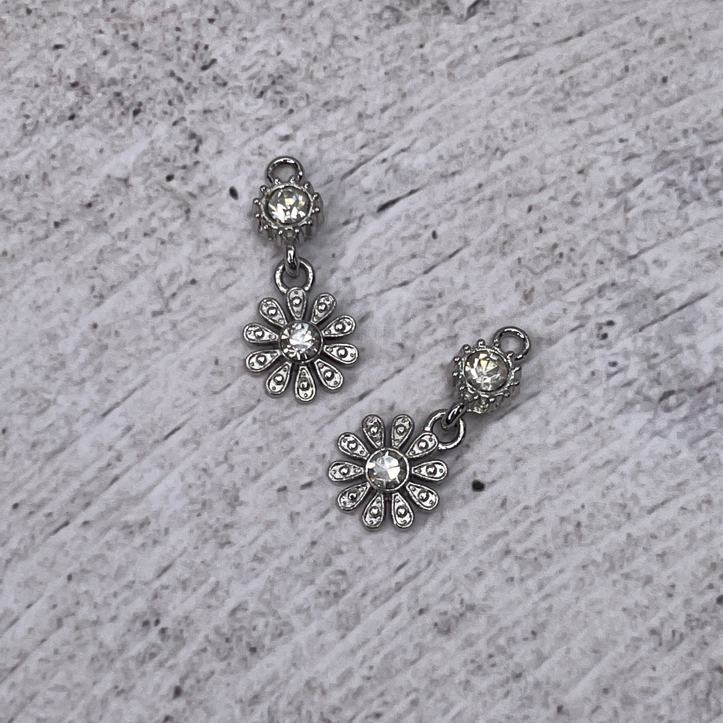 Charms ~ Assorted (pair)