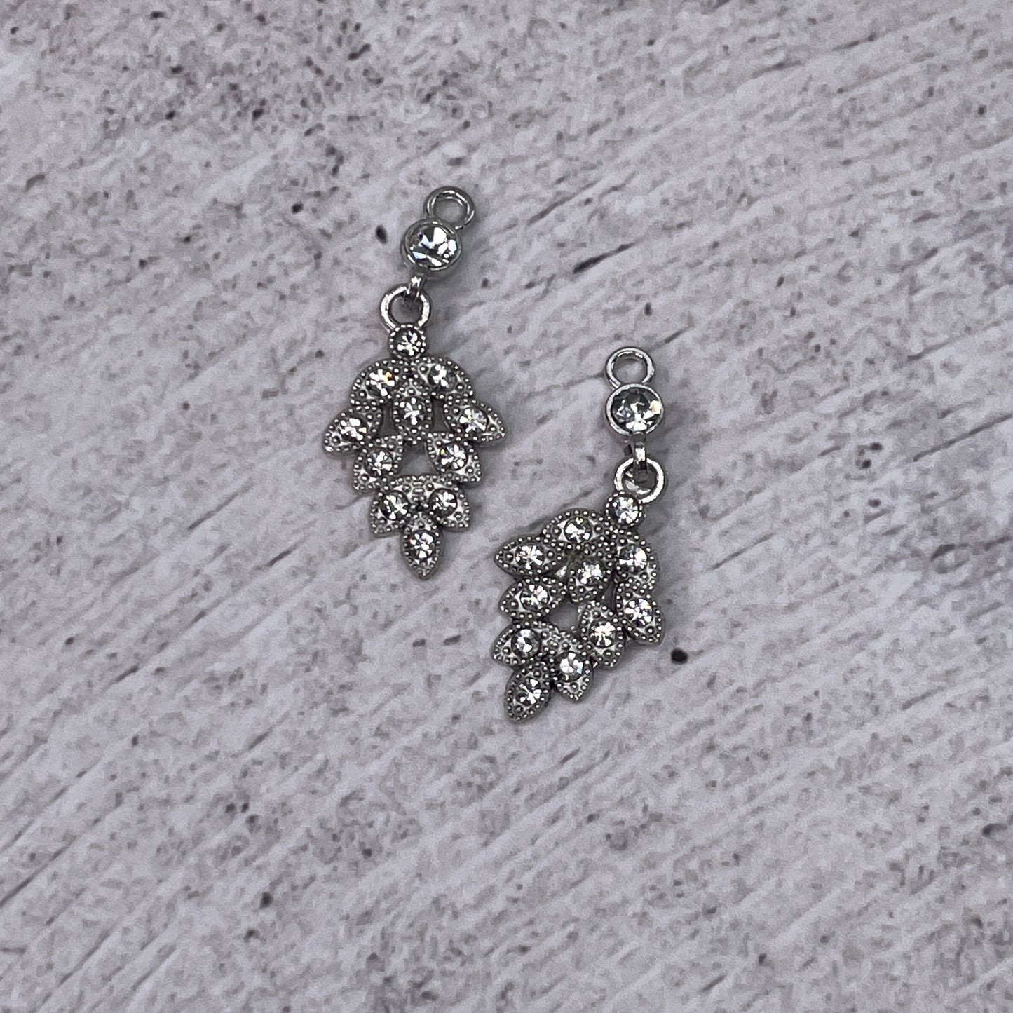 Charms ~ Assorted (pair)