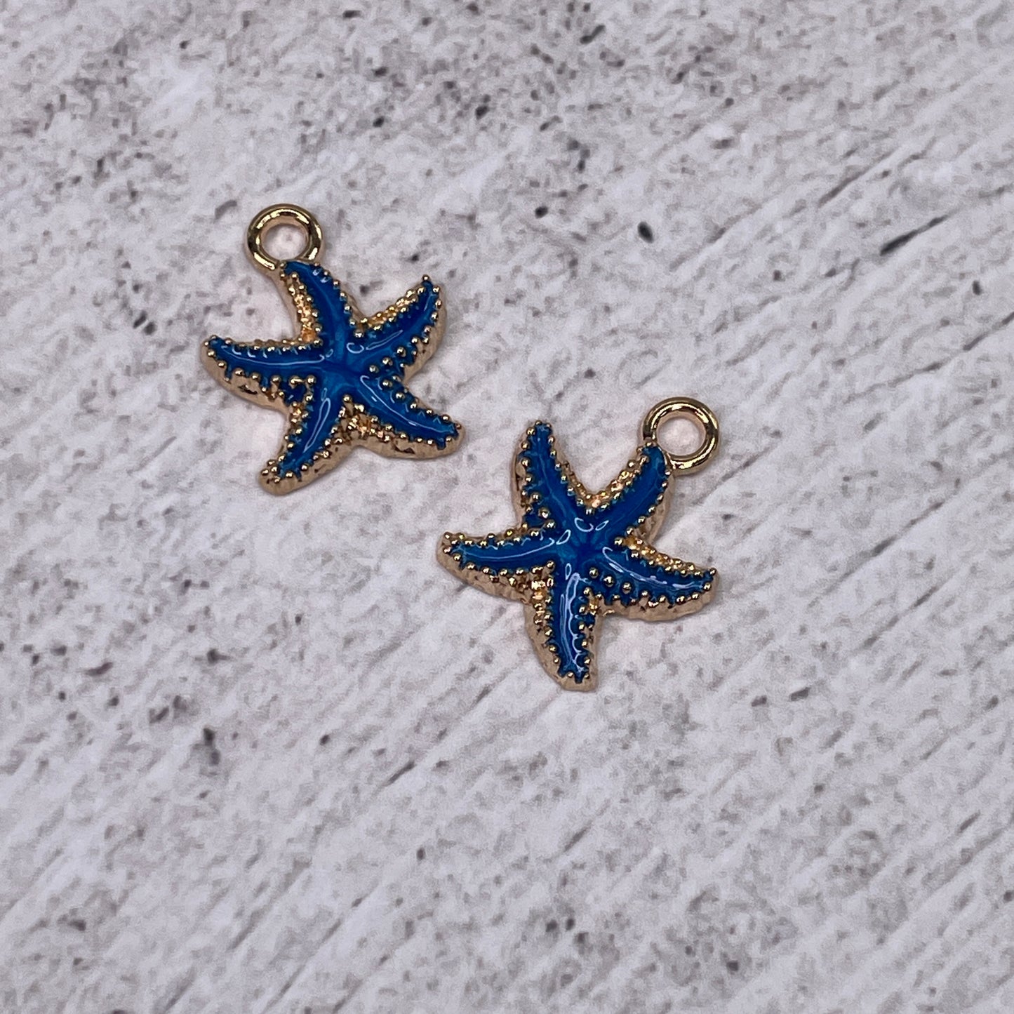 Charms ~ Assorted (pair)